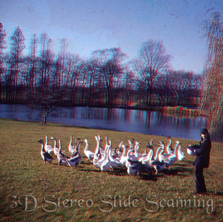 3d slide geese