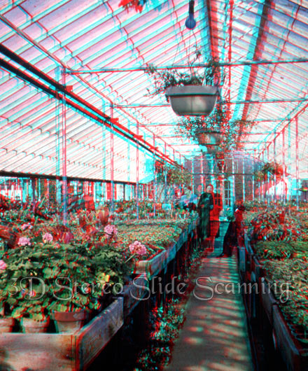 3d stereo greenhouse
