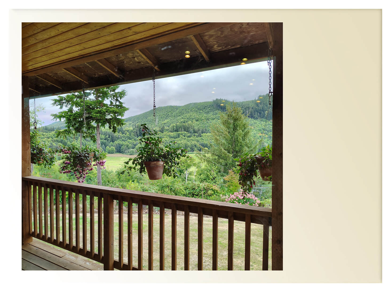 Example of a scanned Polaroid photograph showing a porch view of a forested valley