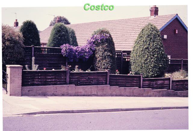 Costco Photo—house with fences, purple tint