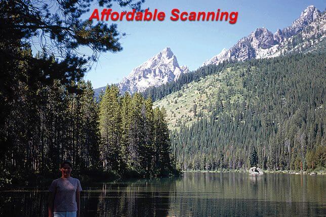 Affordable Scanning trees and mountain—rich color and fine shadow detail