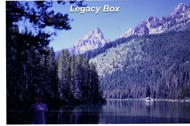Legacy Box trees and mountain—flatter tones and muted color