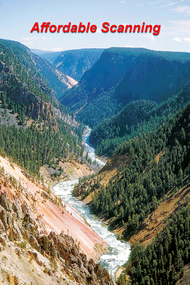 Affordable Scanning — Yellowstone vertical: balanced color and contrast