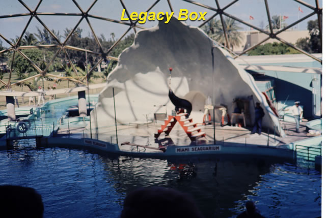 Legacy Box Miami Seaquarium—color issues, softness, reversed text