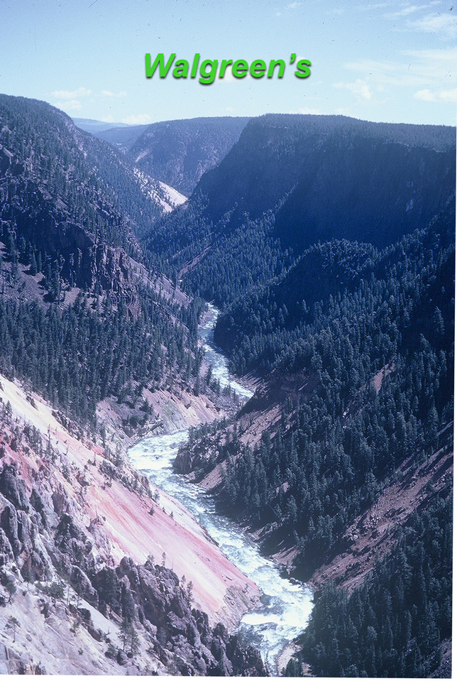 Walgreen's mountain scan of trees and Yellowstone verticle slide