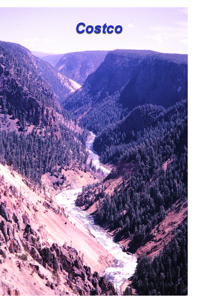 Costco mountain scan of trees and Yellowstone verticle slide