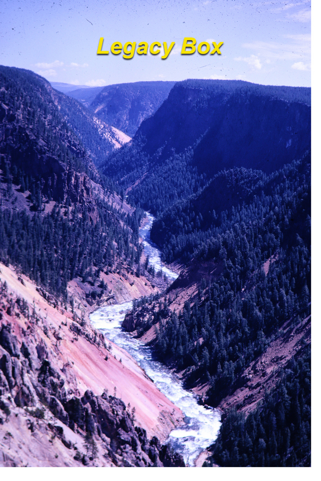 Legacy Box mountain scan of trees and Yellowstone verticle slide