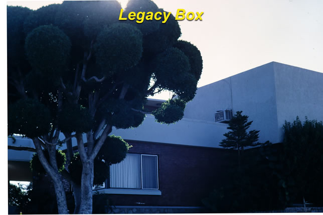 Legacy Box scan of ball tree House slide