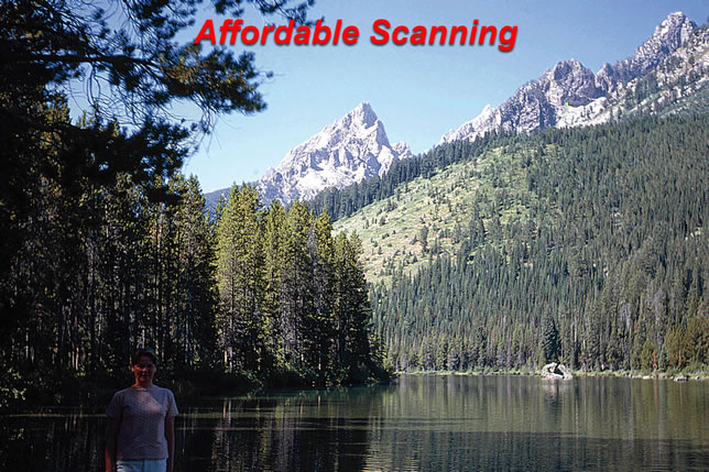 Affordable Scannings scan of trees and mountain slide